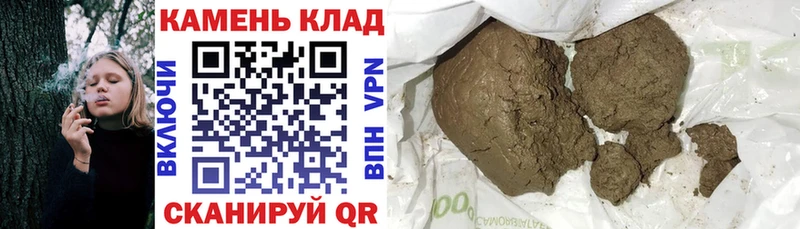 Купить где  Оса  Гашиш Cannabis 