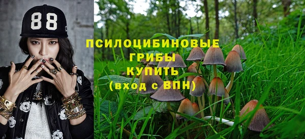 ГАЛЛЮЦИНОГЕННЫЕ ГРИБЫ Зеленодольск