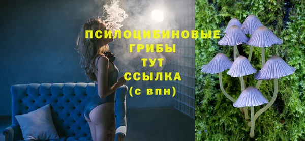 сатива Зерноград