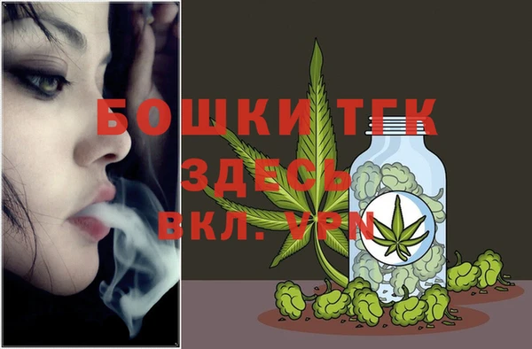сатива Зерноград