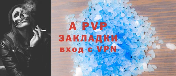 сатива Зерноград