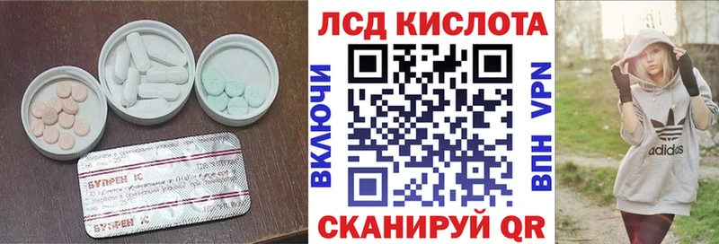 Купить где  Оса  ЛСД экстази ecstasy 