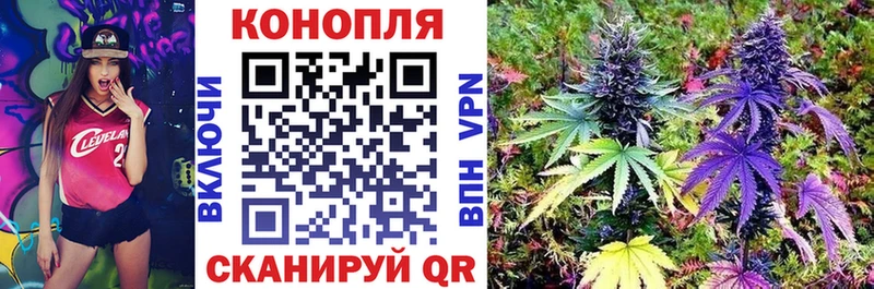 Купить где  Оса  Шишки марихуана конопля 